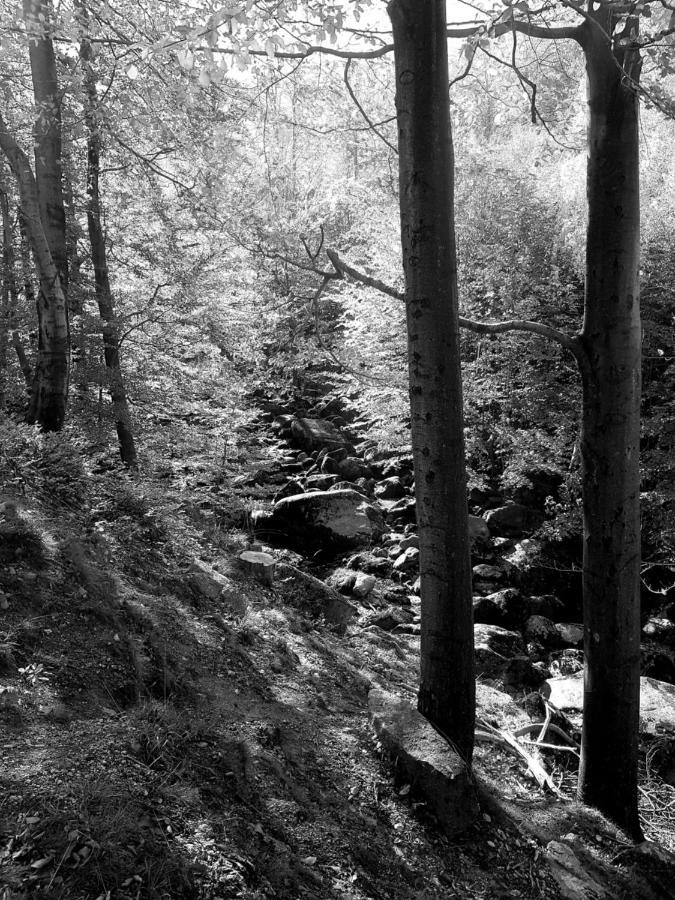 Hejnice Retreat Buitenkant foto